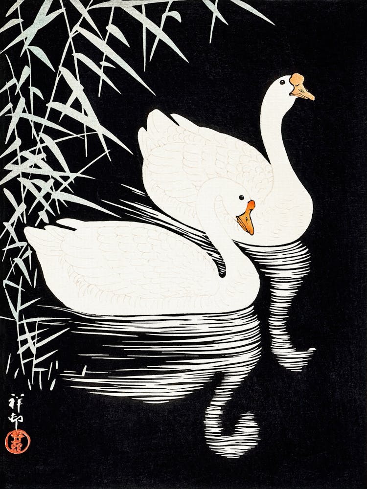 White Swans In Water, Vintage