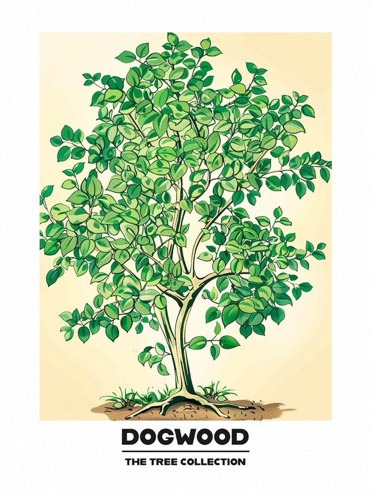 Dogwood Tree Storybook Illustration 3 Poster
