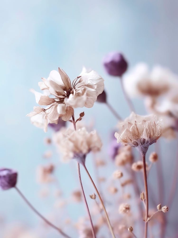Pastel Dry Flowers 4