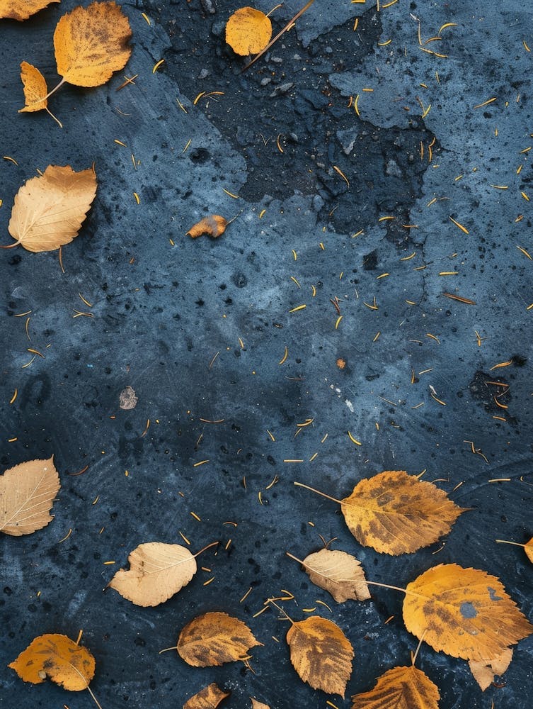 Autumn Leaves On The Ground 7