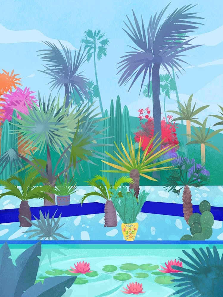 Cactus Garden