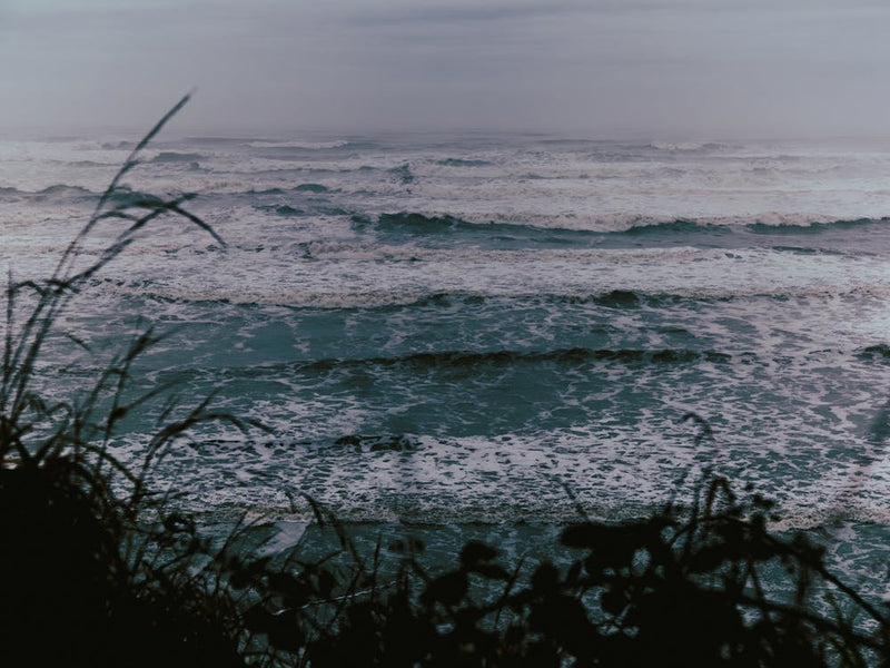 Moody Ocean Shore