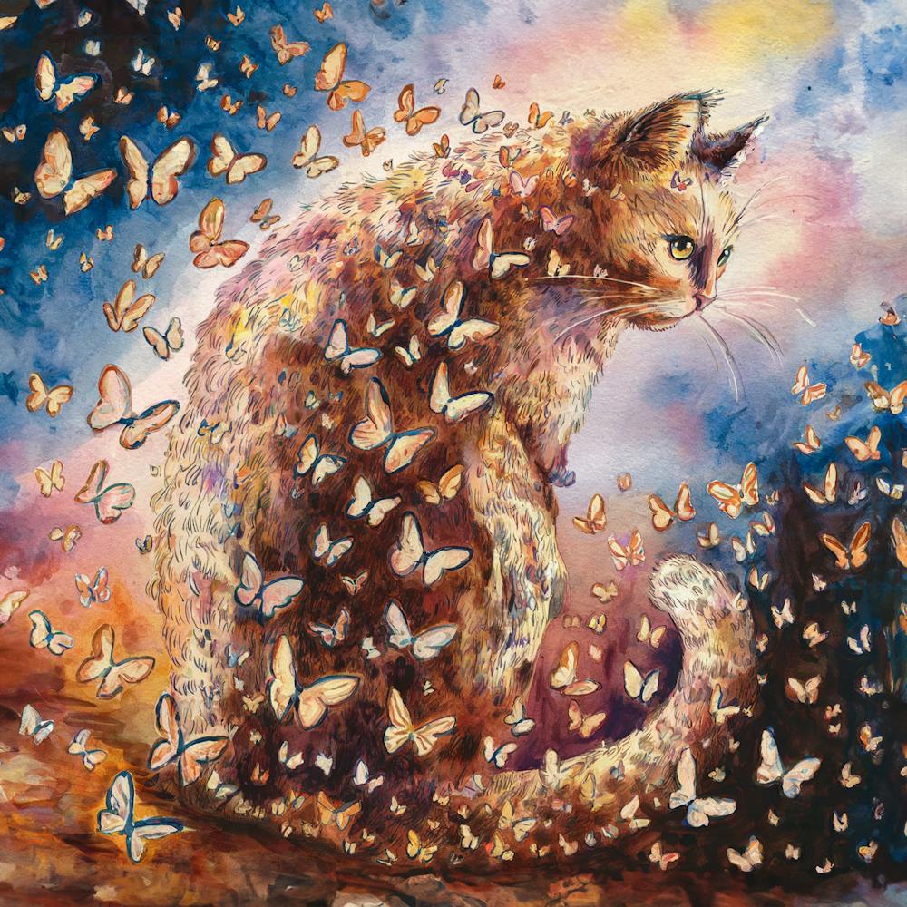 Butterfly Cat 5