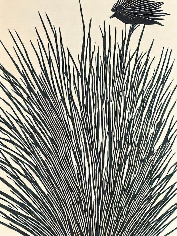 Acropora Verweyi Ii Linocut