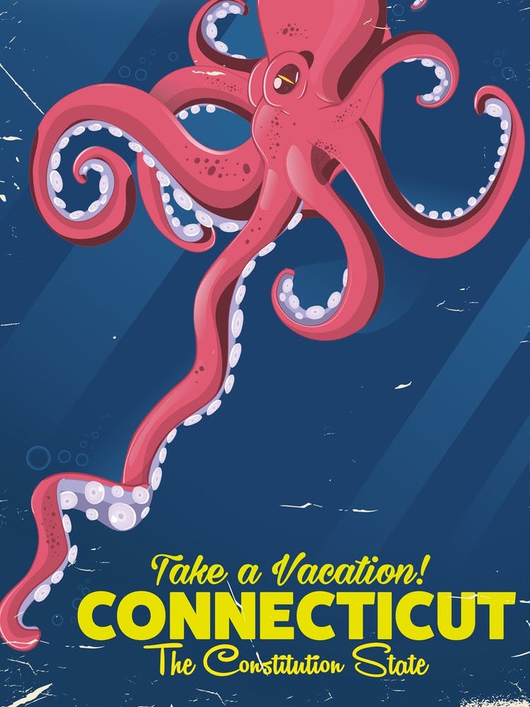 Connecticut Octopus