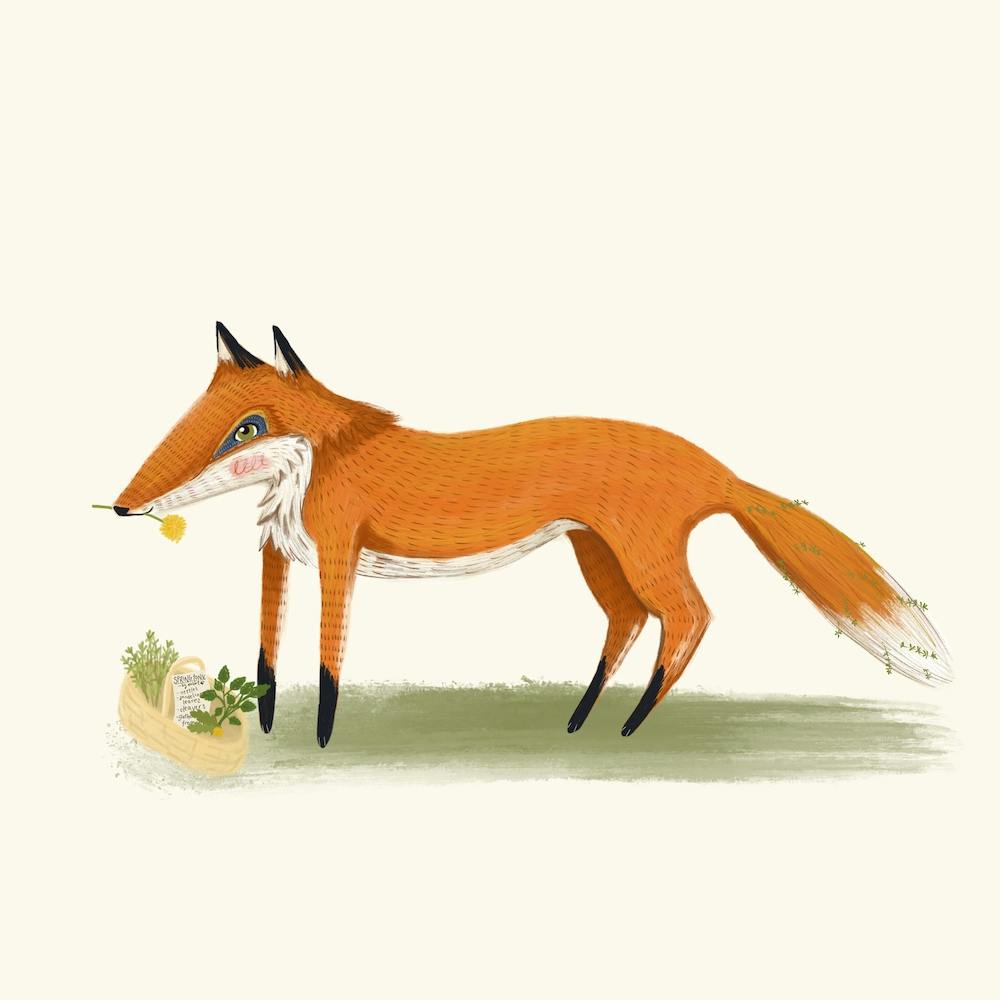 Foxy Forage Square