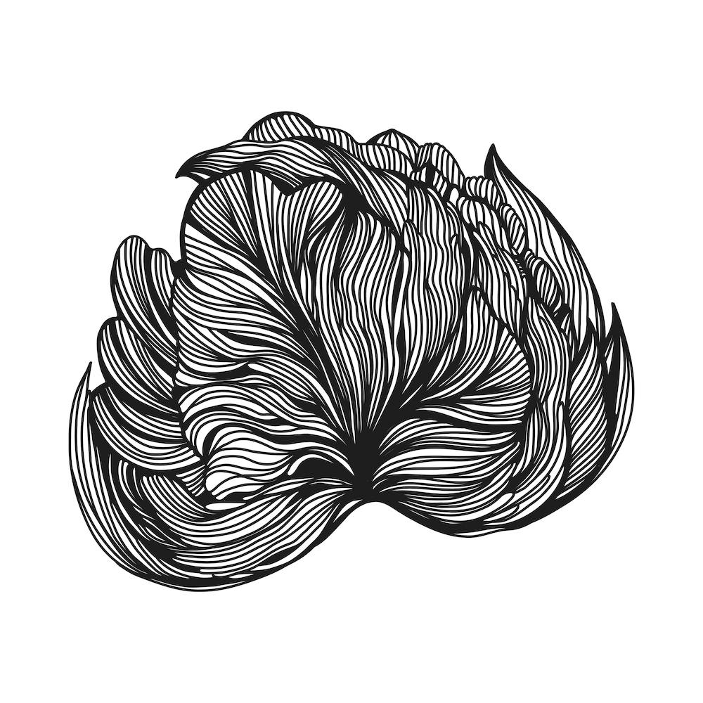 Black Peony Linear Square