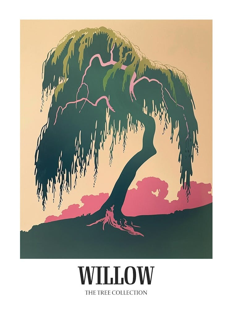 Willow Tree Colourful Illustration 1 Poster