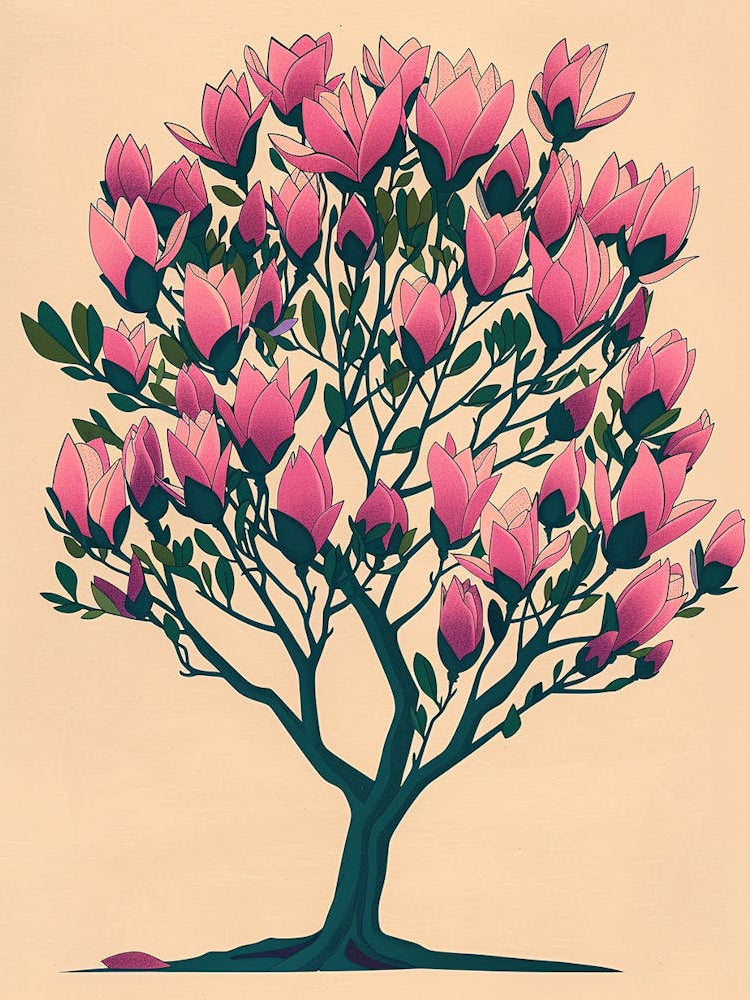 Magnolia Tree Colourful Illustration 4