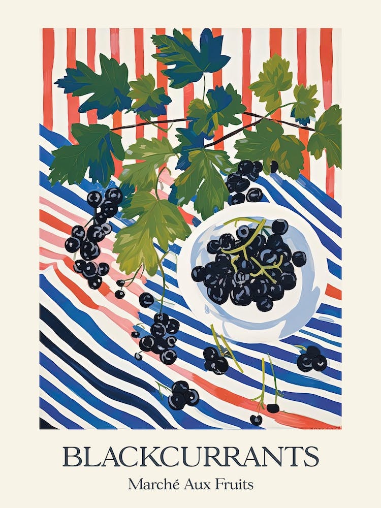Marche Aux Fruits Blackcurrants Fruit Summer Illustration 2