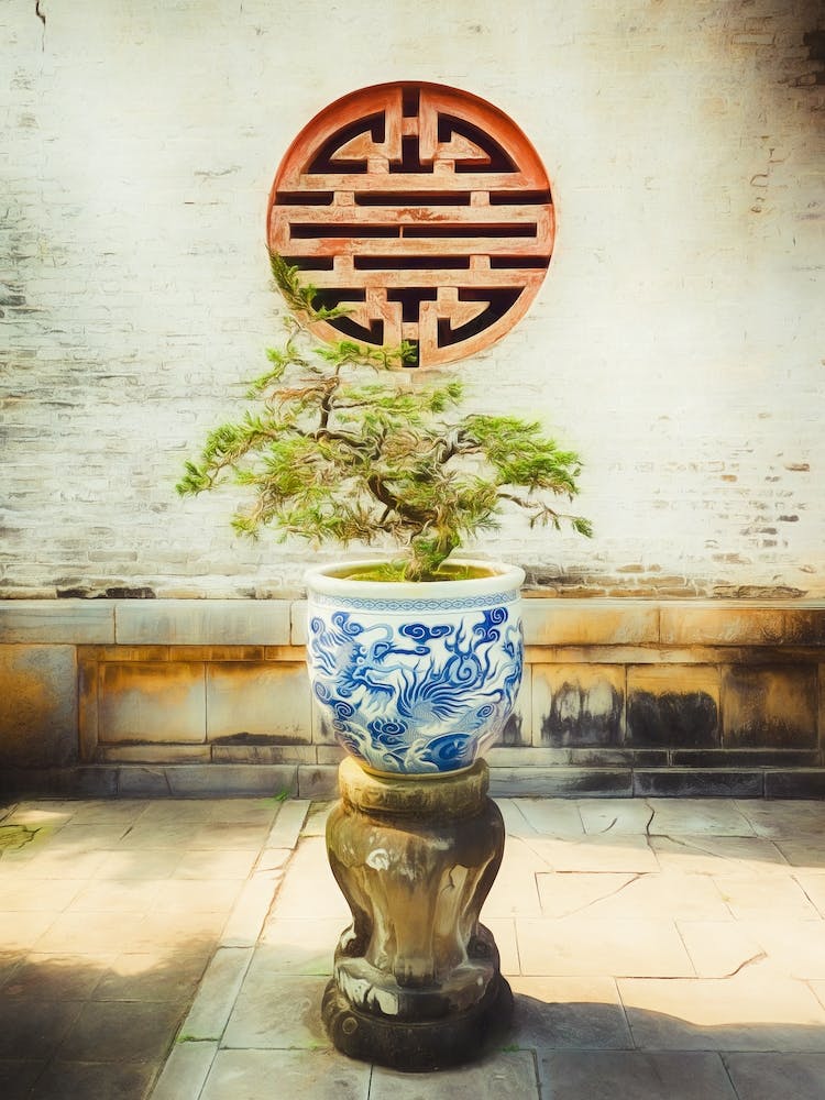 Bonsai Tree In Decorative Pot Hue Vietnam