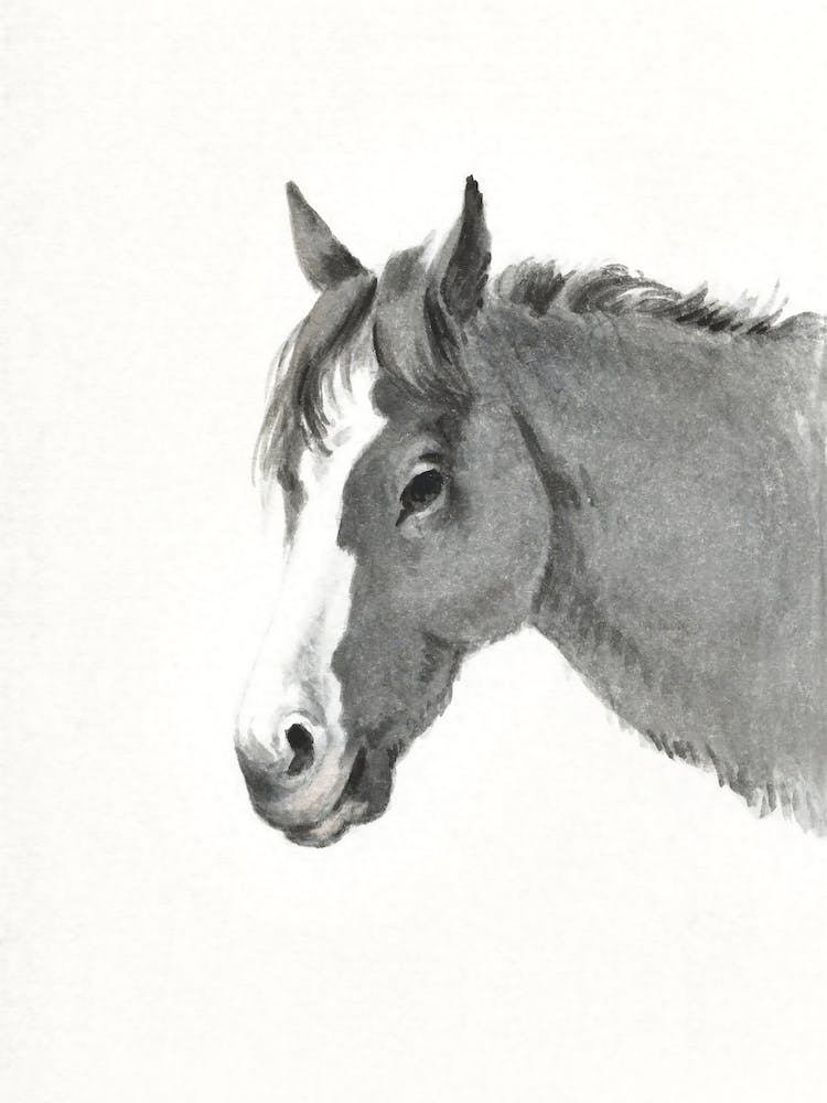 Head Of A Horse, Jean Bernard