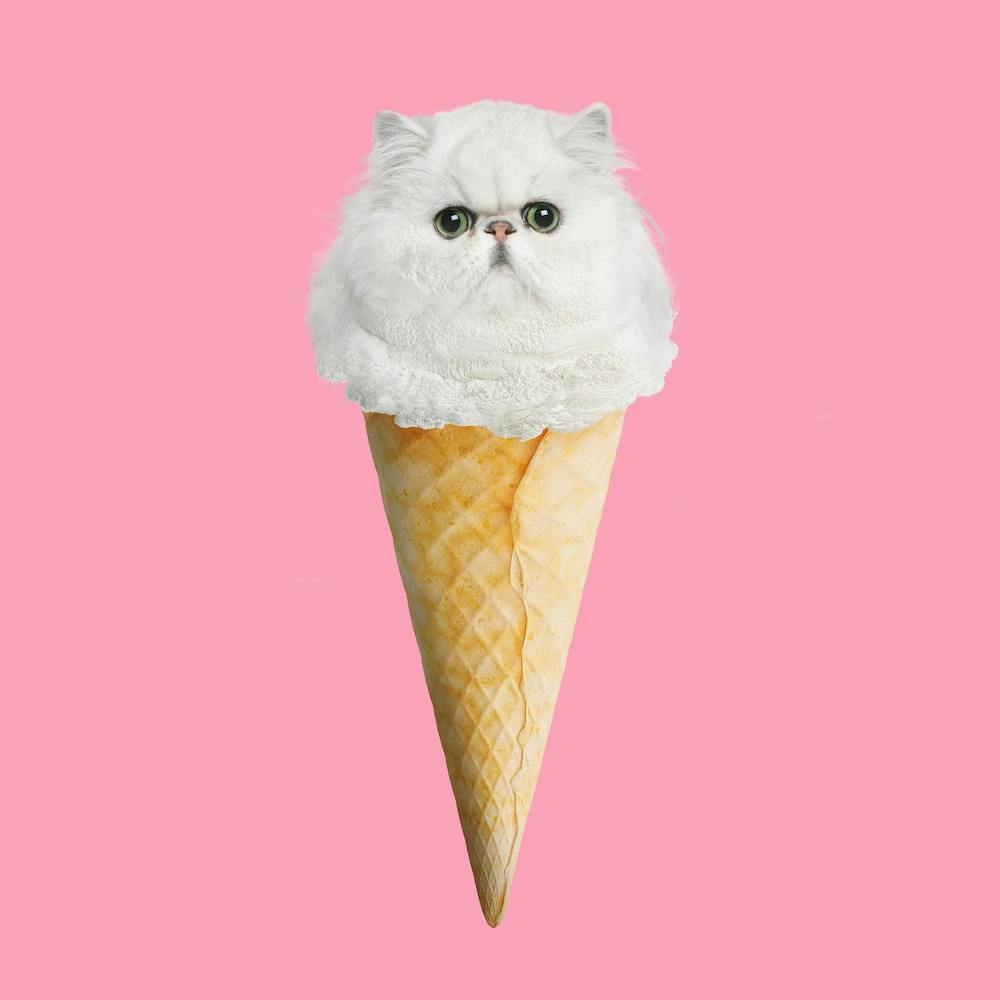 Kitty Ice #1 Square