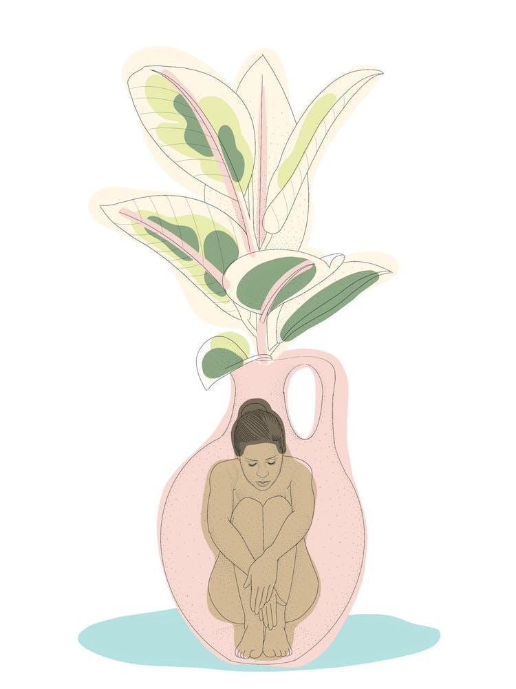 Vase With Rubber Plant