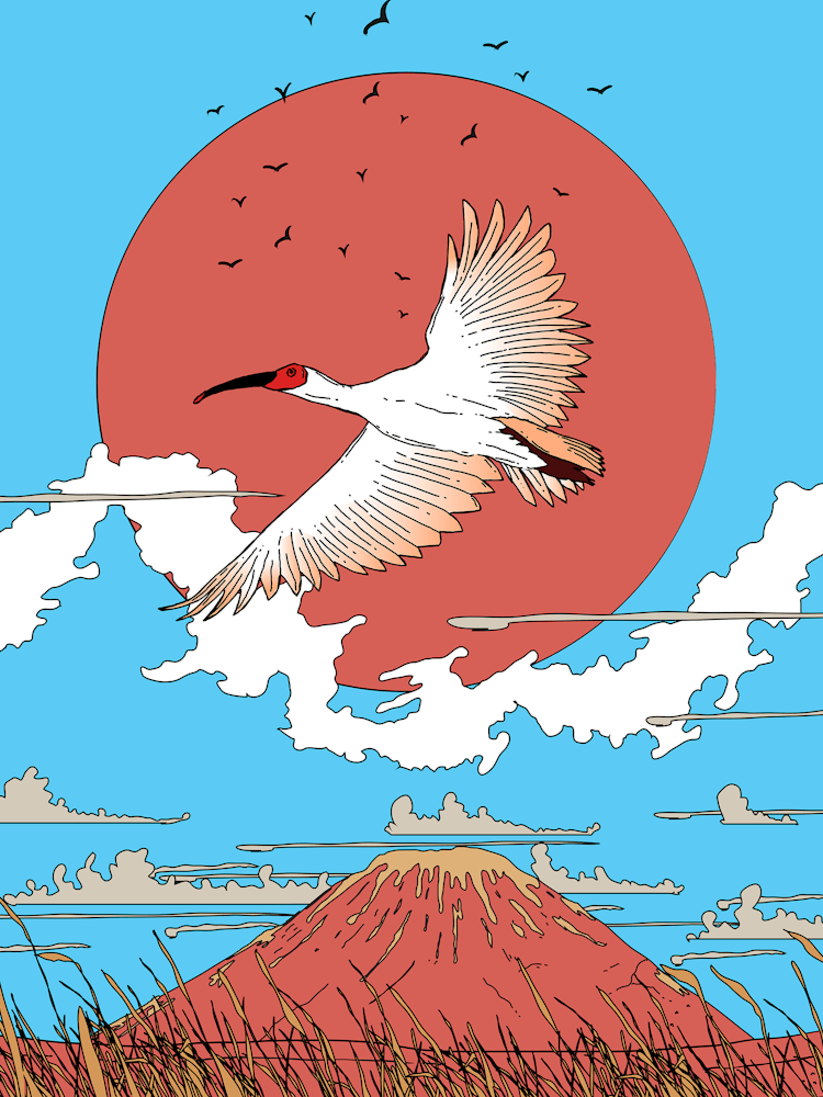 Bird In Flight