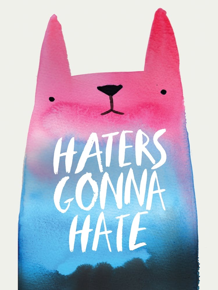 Haters Gonna Hate