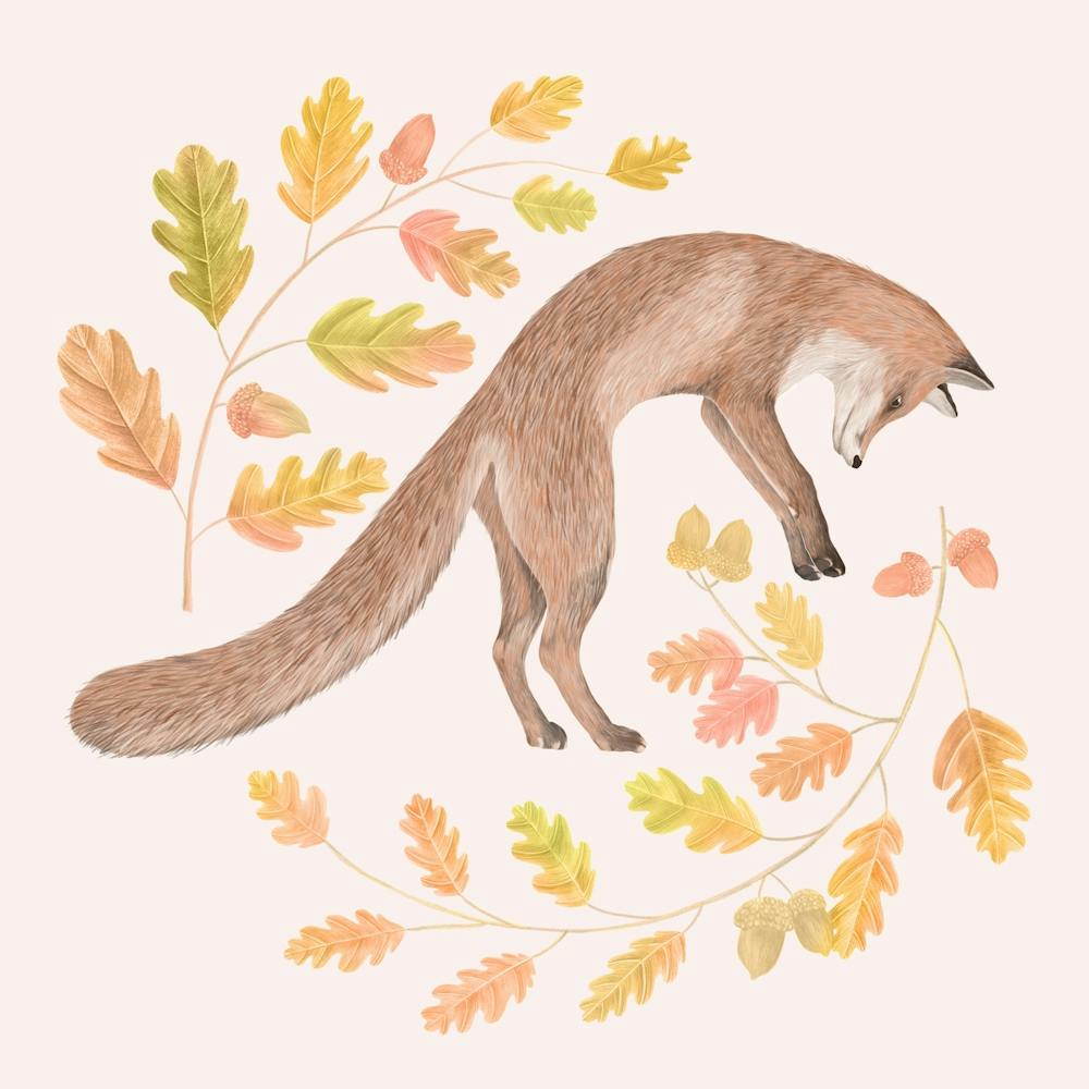 Jumping Fox