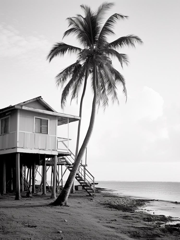 Barbados, Black And White Analogue Photograph 3