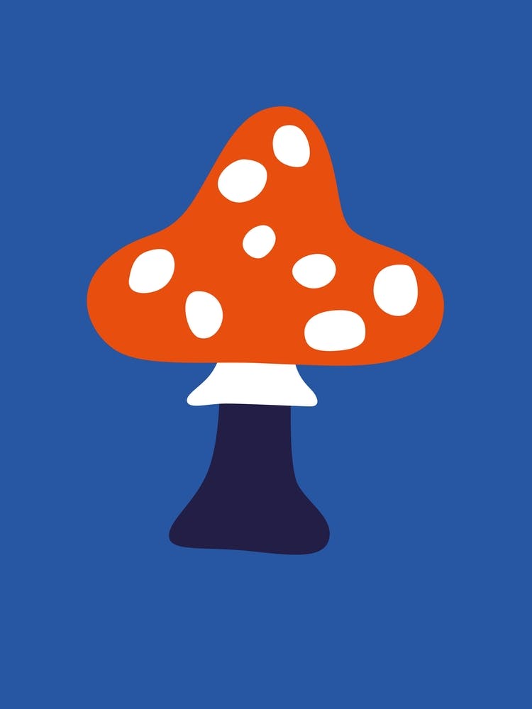Toadstool Mushroom Fungus