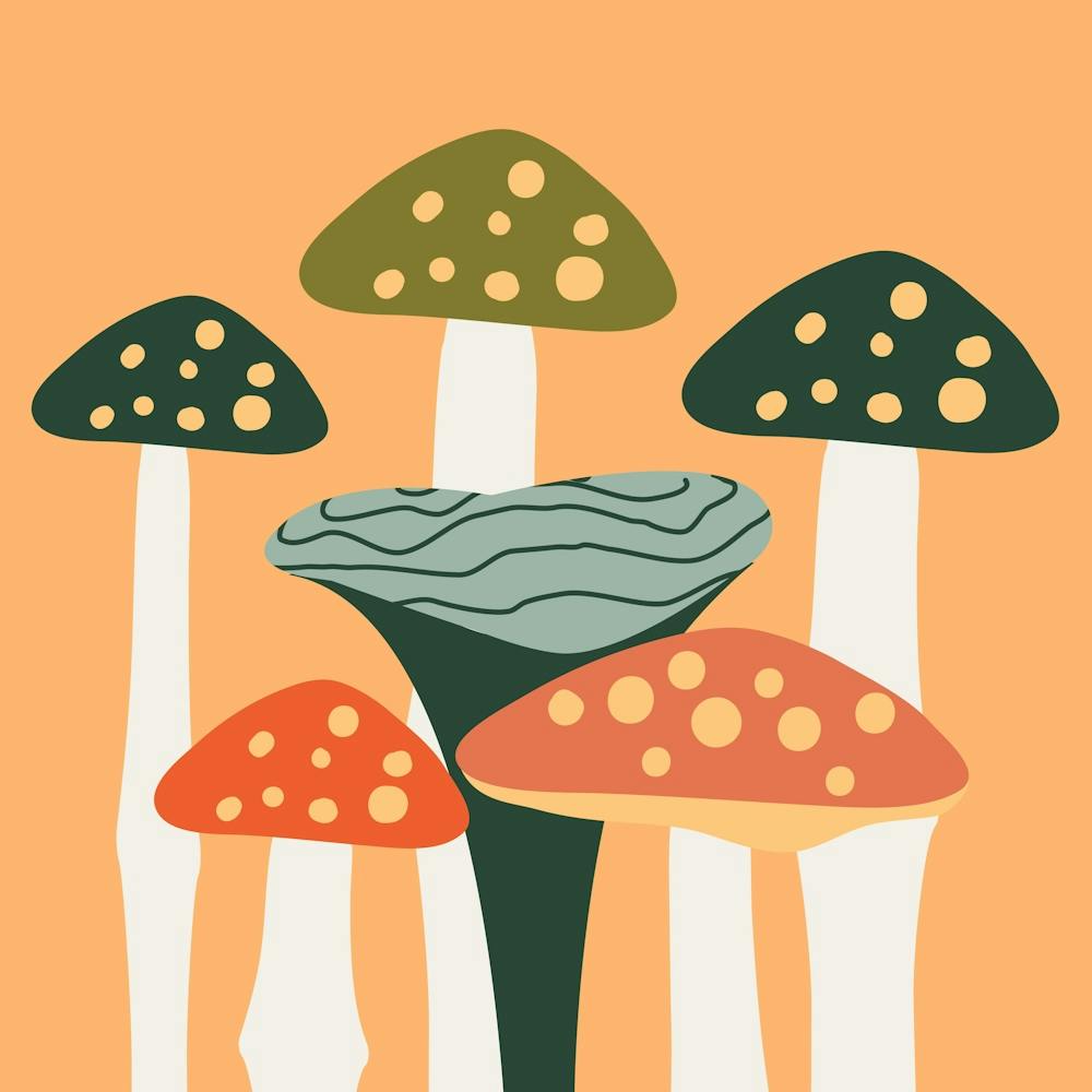 Mushrooms