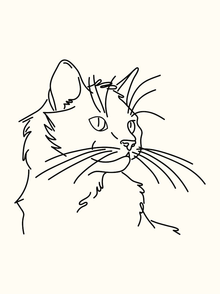 Kitty Cat Monoline Hand Drawing Aesthetic Illustration