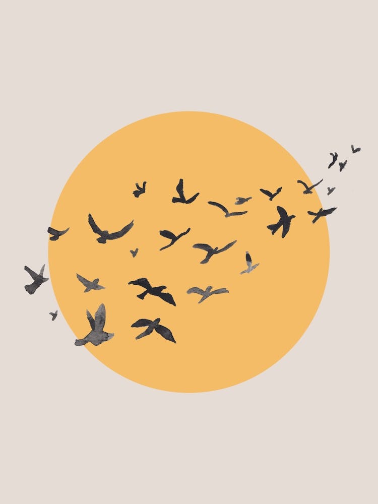 Sun and Flying Birds