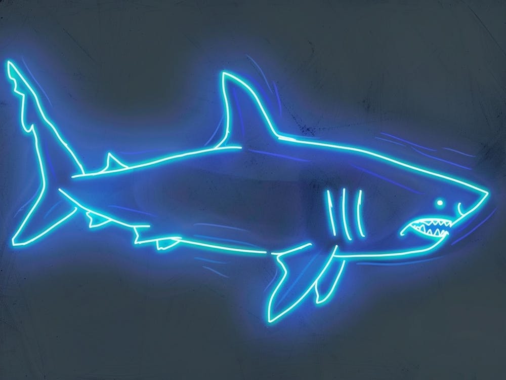 Blauer Neon-Weißer Hai 3