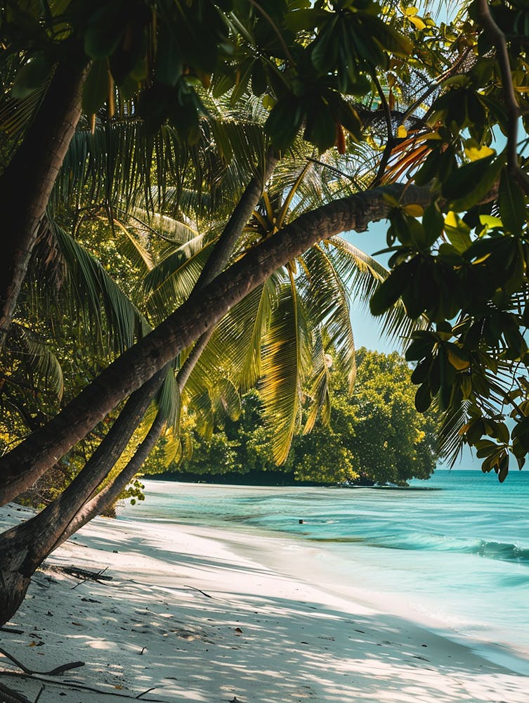 Tropical Beach With Palm Trees