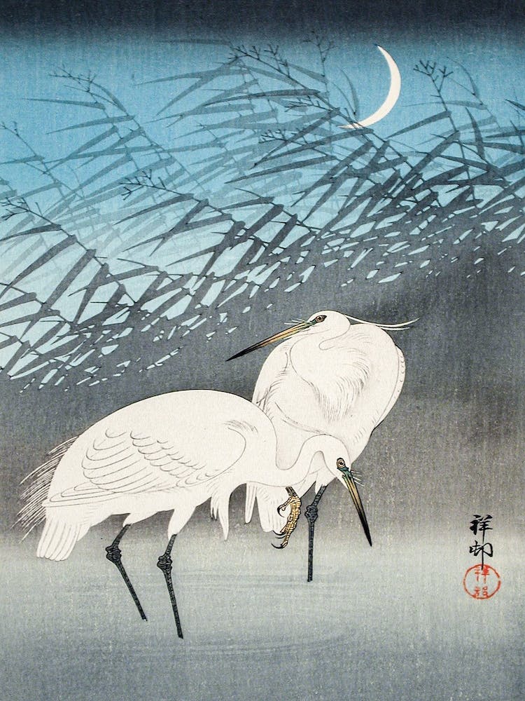 Egrets And Reeds In Moonlight
