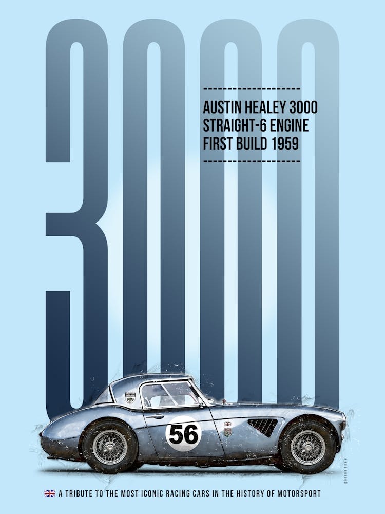 Austin Healey 3000 Tribute