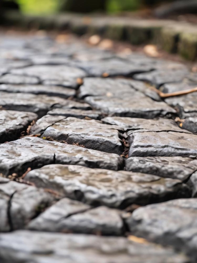 Close Up Of A Cobblestone Path