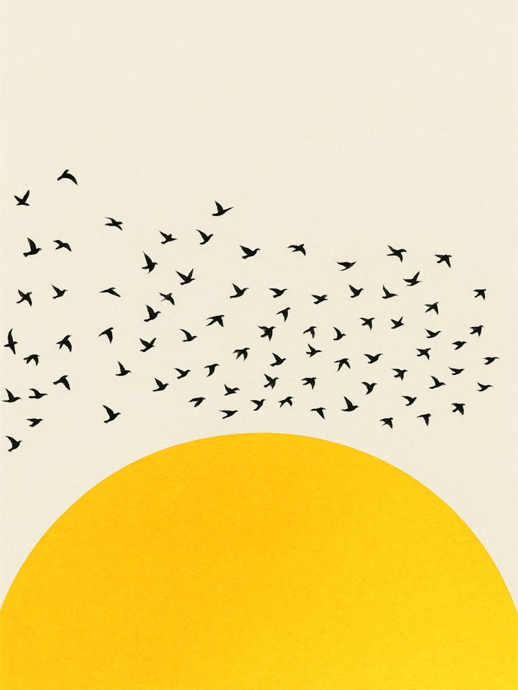 A Thousand Birds Birds In Flight