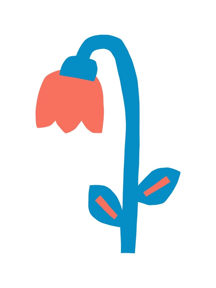 Flowers 4