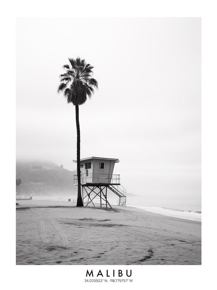 Poster Of Malibu, Black And White Analogue Photograph 1