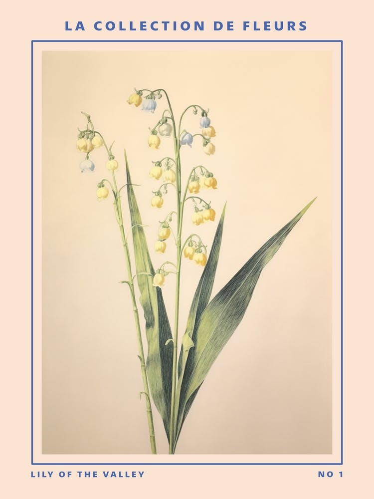 Lily Of The Valley French Flower Botanical Poster