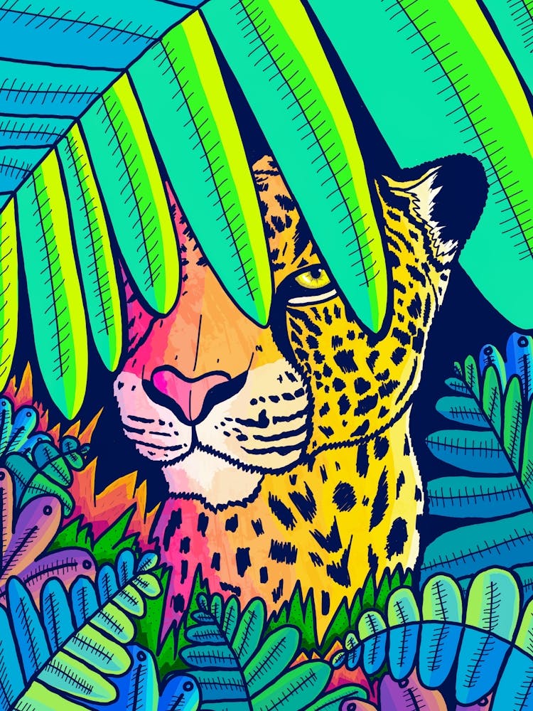 Jungle Leopard