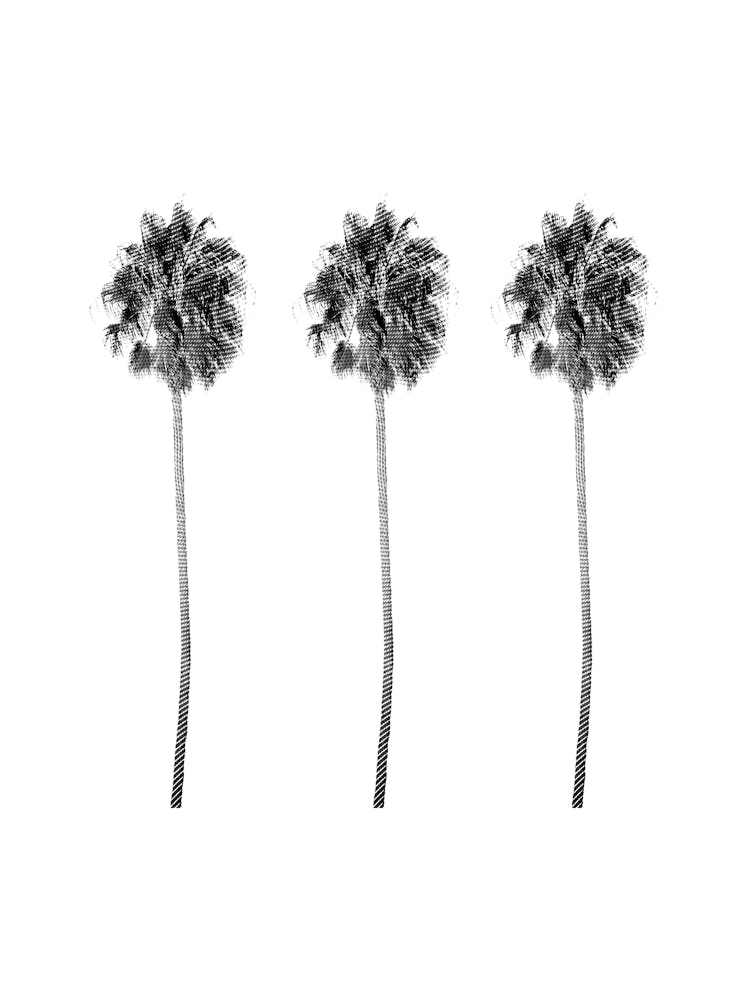 Three Palm Trees Summer Black and White Minimalist Boho
