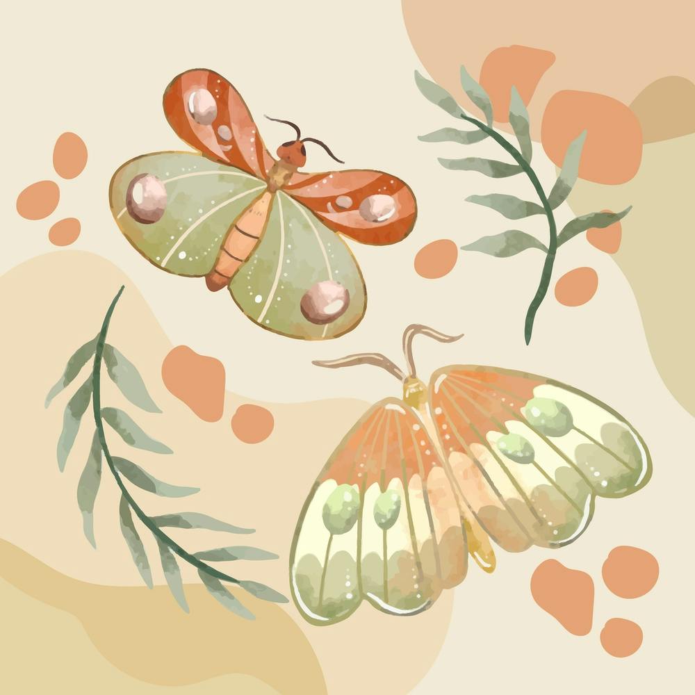 Colorful Moths Pastel Colored