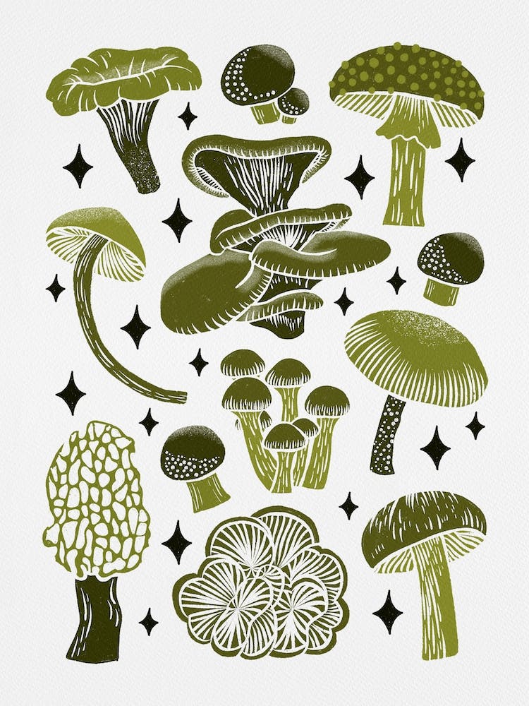 Texas Mushrooms   Olive Green