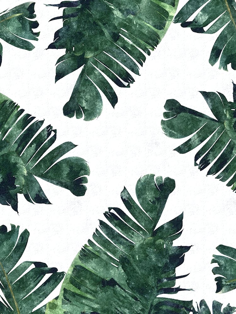 Banana Leaves Watercolor