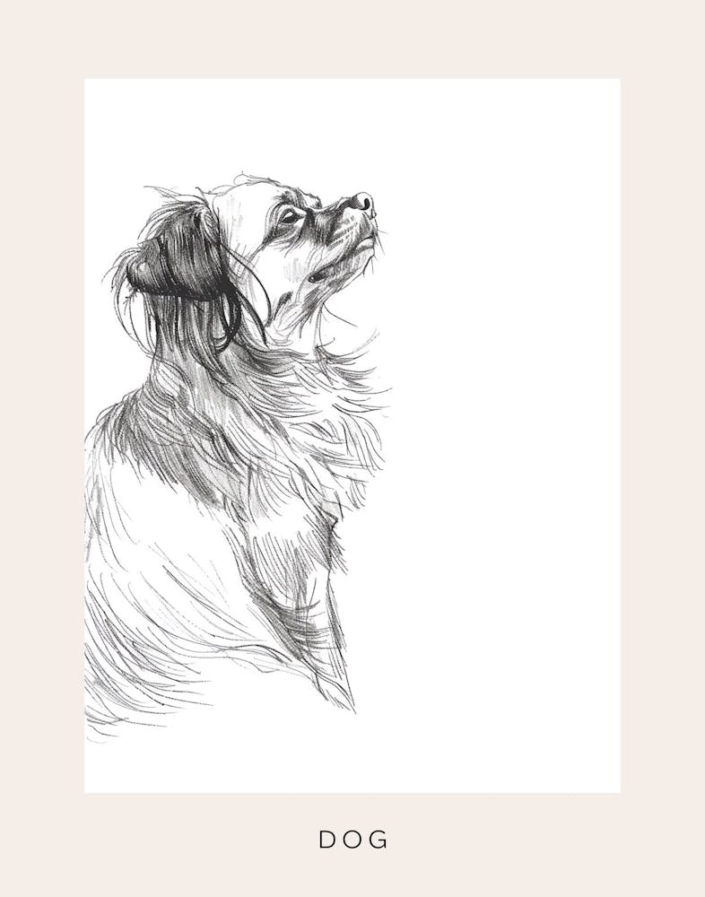 Dog Portrait Line Sketch 1 Poster