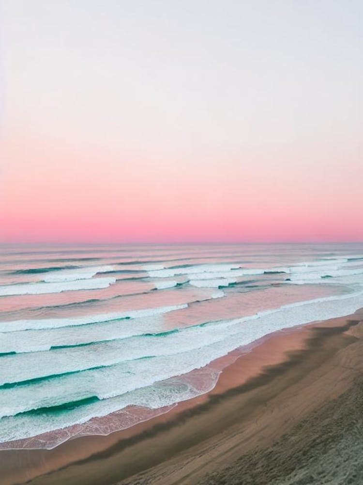 Freshwater Beach, Australia Pink Photography 2