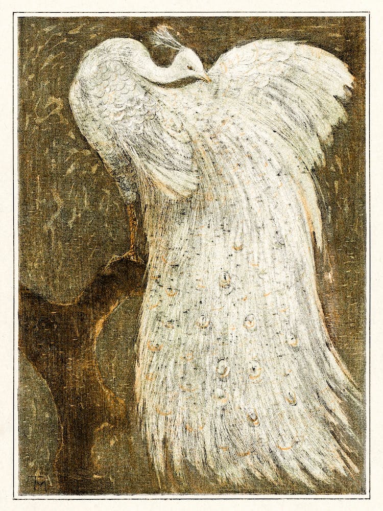 White Peacock On Branch, Theo Van Hoytema