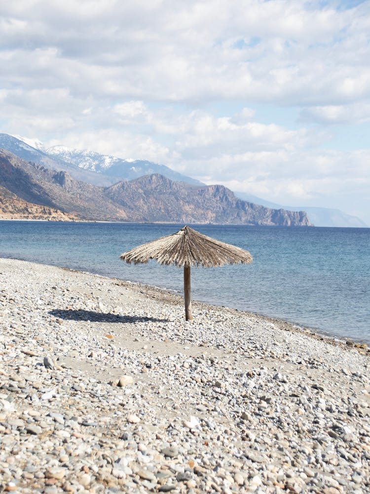 Palm Leaf Parasol Snowy Mountain