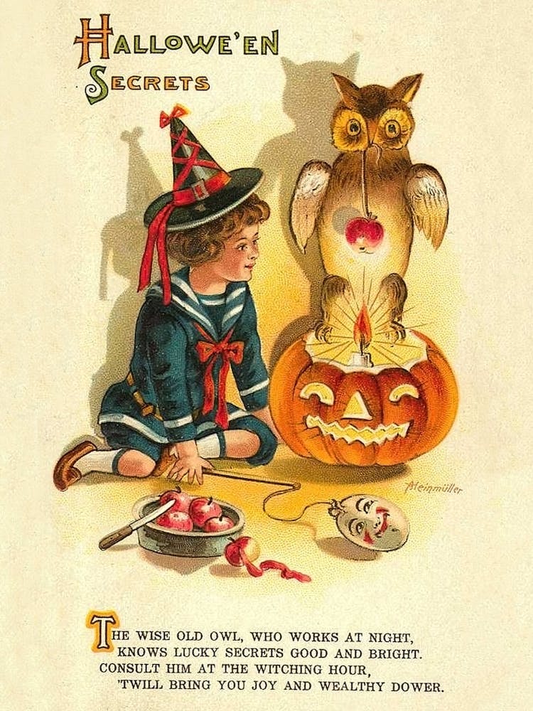 Halloween Secrets, Little Witch With Owl And A Poem
