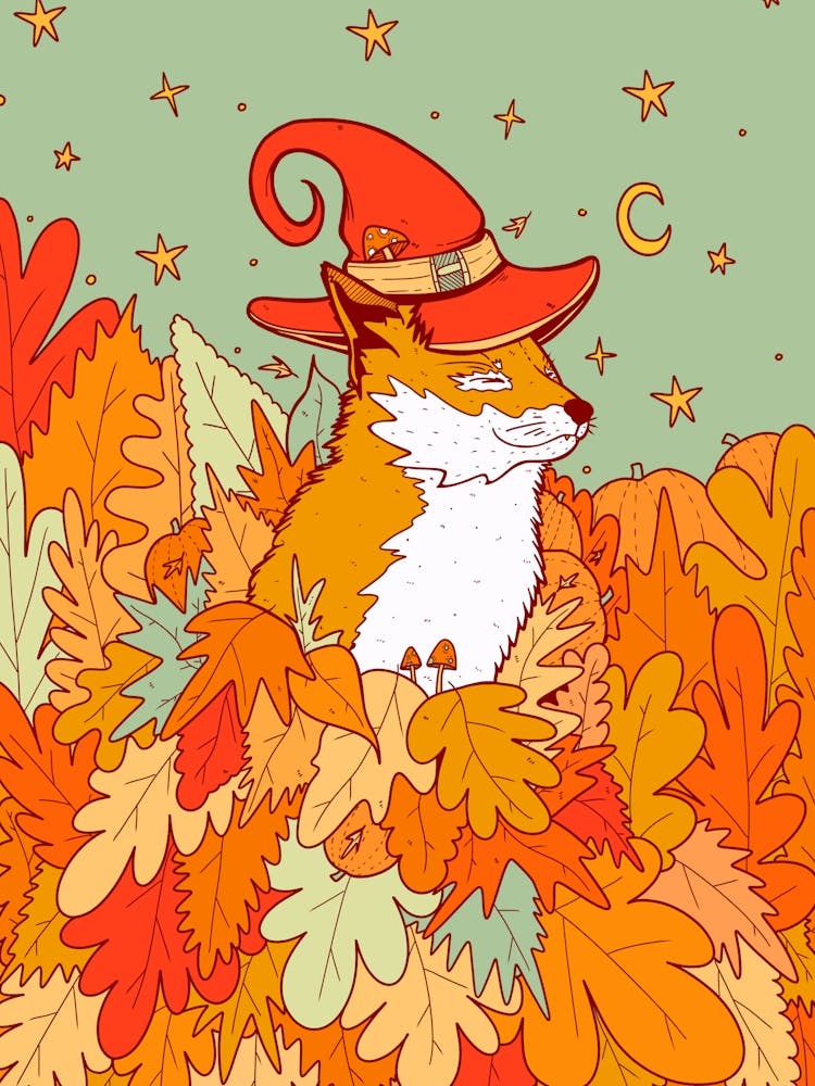 The Wizard S Fox