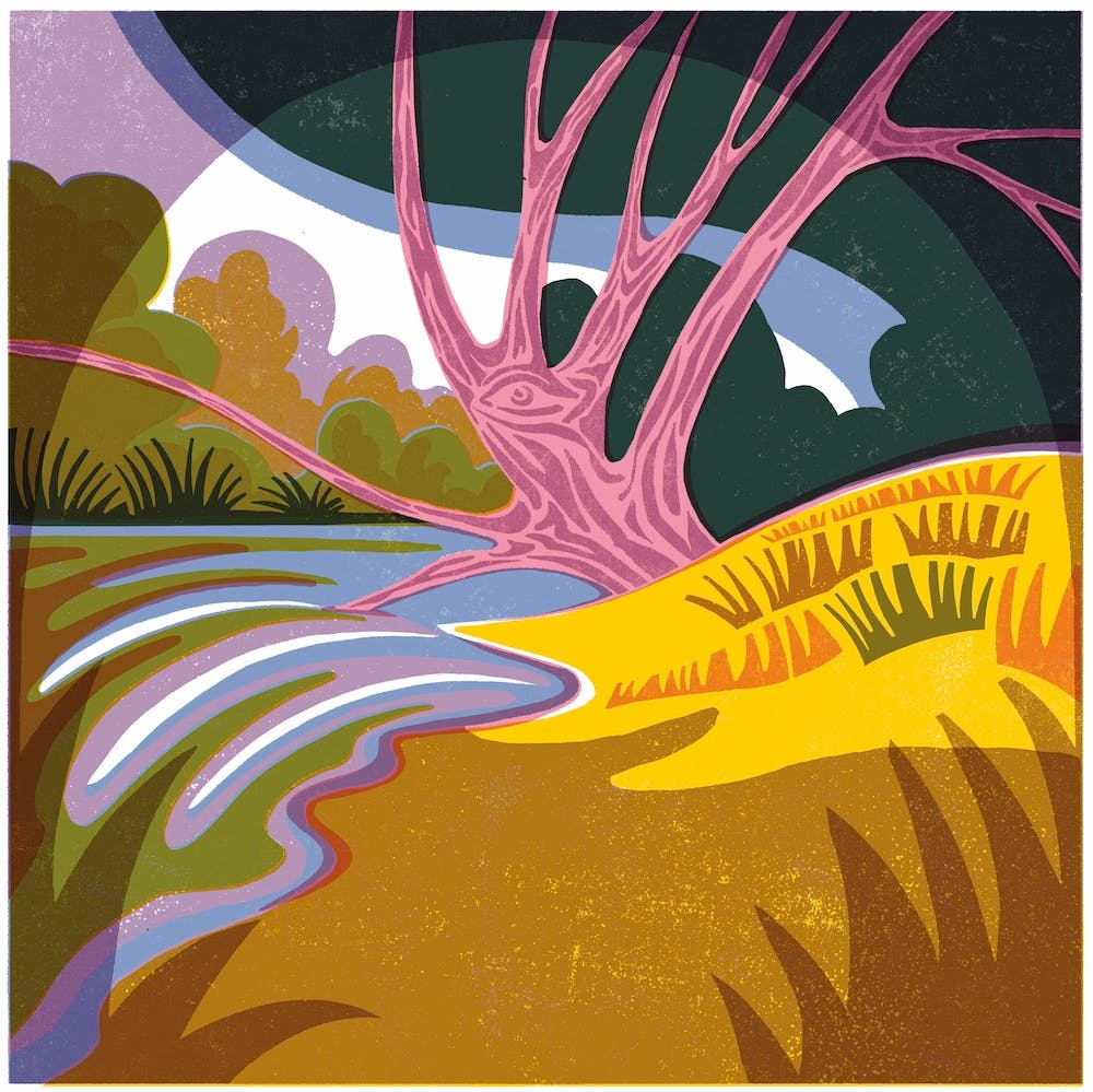 Riverbank Tree