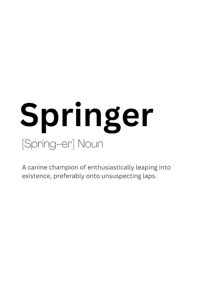 Springer Definition Meaning