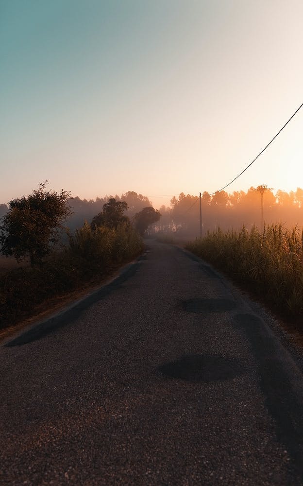 Fog In The Morning