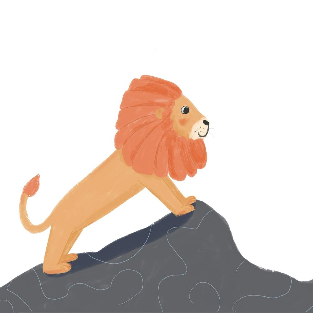 Orange Lion On A Rock Square